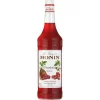 monin sirop raspberry pet 1l