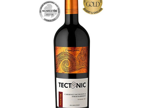 TECTONIC Cabernet Sauvignon & Syrah Barrique sec 0 75L