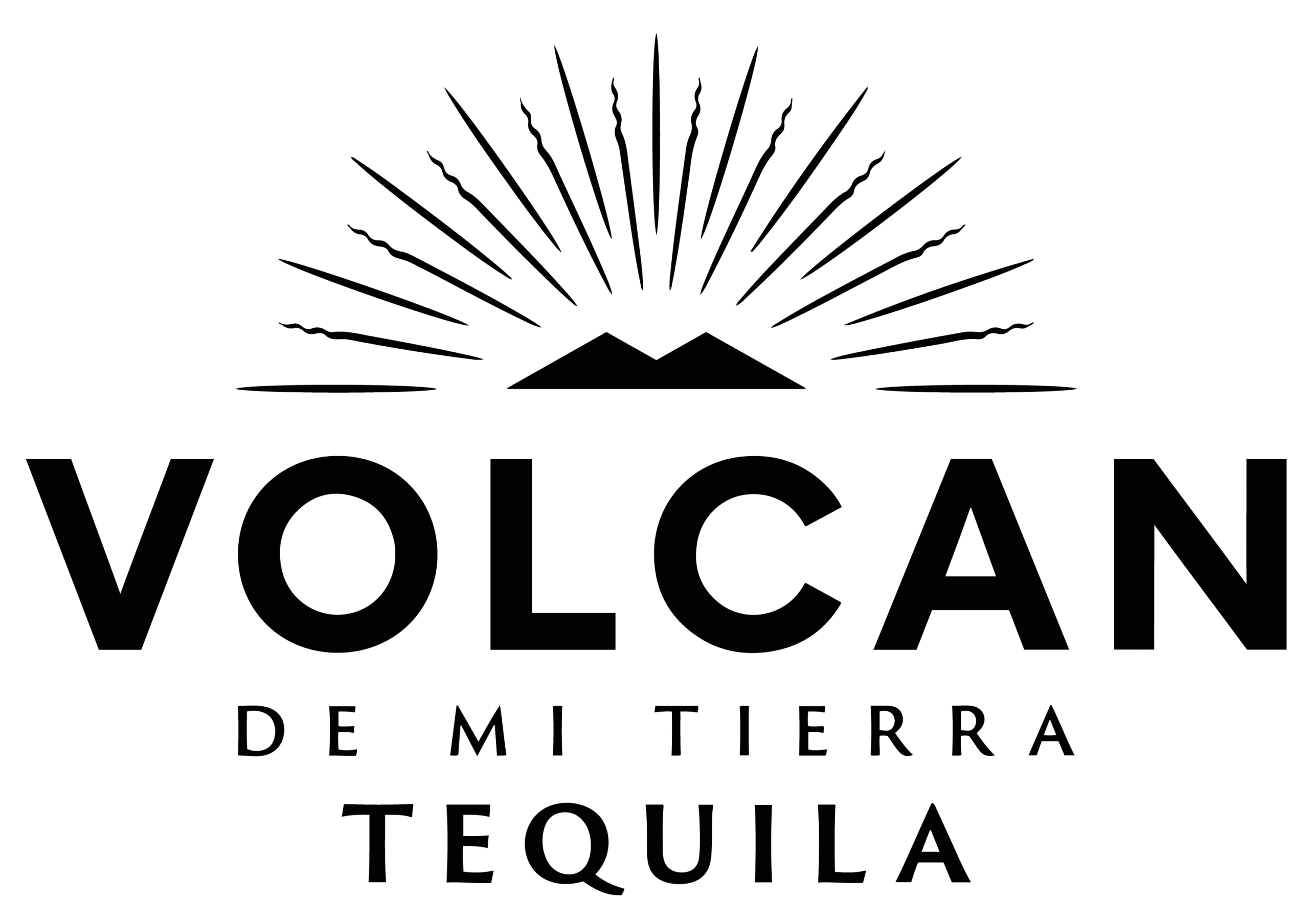 Volcan Logo