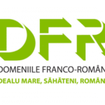 DFR logo