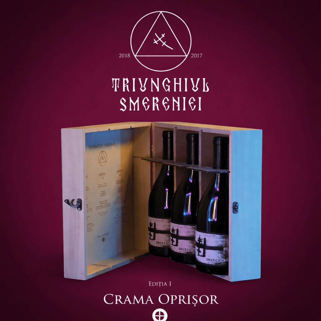 ChatGPT Image 26 ian 2026 18 42 48